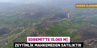 31978210413040723634tasarimli