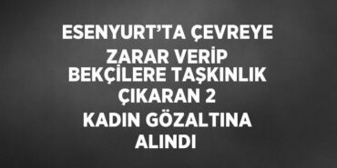 31986279382539322329tasarimli