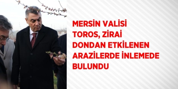 MERSİN VALİSİ TOROS, ZİRAİ DONDAN ETKİLENEN ARAZİLERDE İNLEMEDE BULUNDU