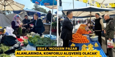 31990217982938323637tasarimli
