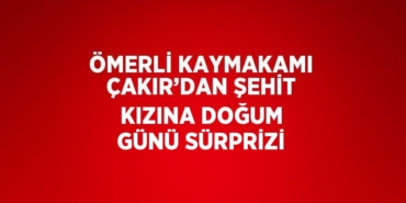 31996304082436331504tasarimli