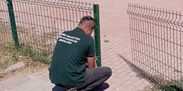 537546029_782069864184041_3527757190452272535_n