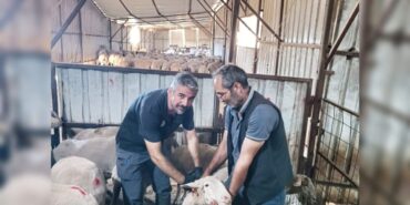 538941744_1198113979016957_5879667462212532981_n