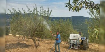 540524625_1197291809099174_7068517910164999769_n