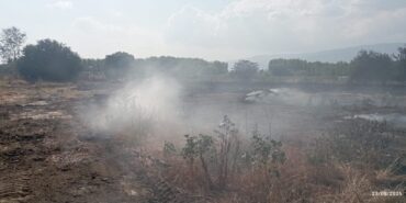 830f130f-5174-4277-9025-9e19866c9e43