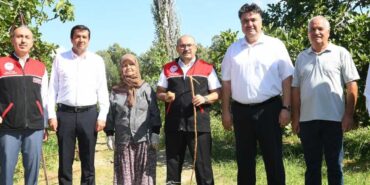 COĞRAFİ İŞARETLİ HAVRAN SİYAH İNCİRİ HASADI BAŞLADI