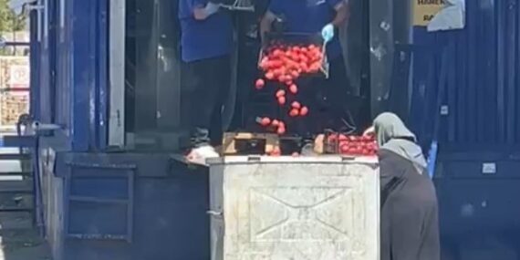 Zincir markette kasalar dolusu domates çöpe döküldü, o anlar tepki topladı