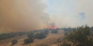 Balıkesir'de çıkan orman yangınına müdahale ediliyor