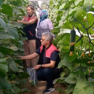 burhaniye gıda (2)