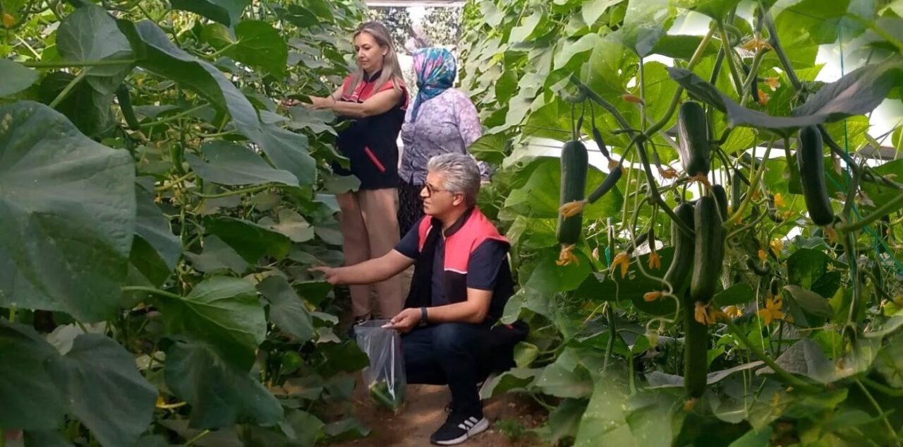 burhaniye gıda (2)