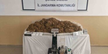 Çorum’da binlerce makaran ele geçirildi