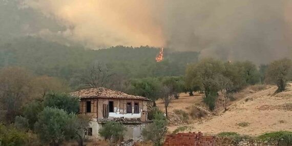 Denizli-Aydın il sınırında 4 gündür devam eden yangında bir köy tahliye ediliyor