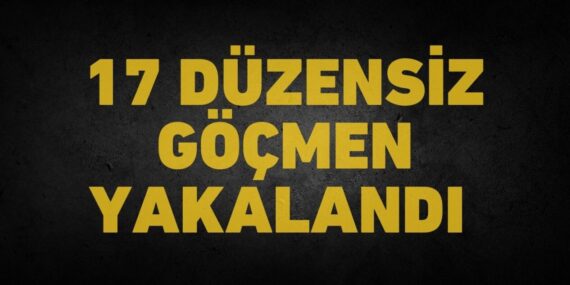 17 düzensiz göçmen yakalandı