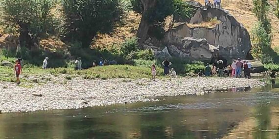 Kuzenini kurtarırken boğulma tehlikesi atlatan genç hayatını kaybetti