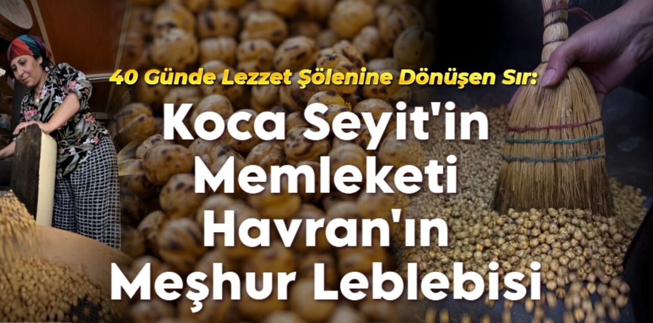 leblebi (1)