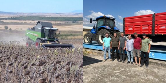 MANYAS’TA AYÇİÇEĞİ HASADI BAŞLADI