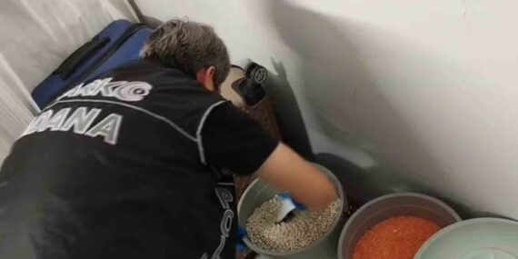 Torbacının bonzai zulası ’fasulye’ dolu kova çıktı: 6 tutuklama