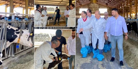 Balıkesir’de Bakanlık Projeleriyle Üretici Yüzü Güldü!