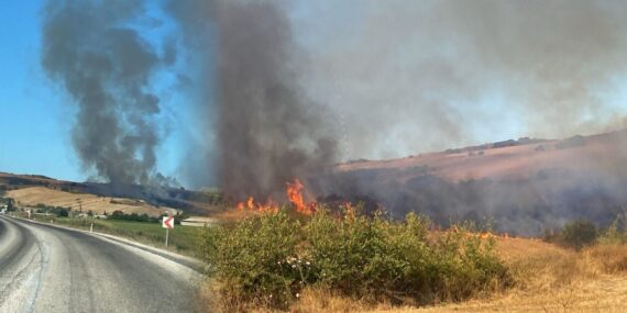 Manyas’taki arazi alevlere teslim oldu