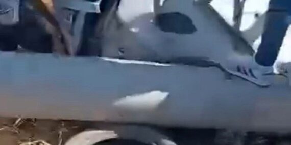 Yoldan çıkan araç bariyerlere ve direğe çarptı: 2 yaralı