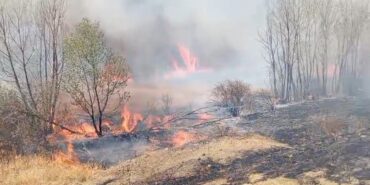 Yozgat’ta peş peşe çıkan yangınlar korkuttu