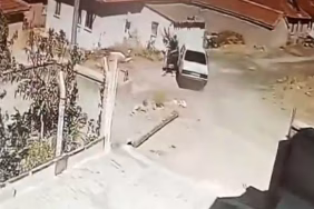 yılan