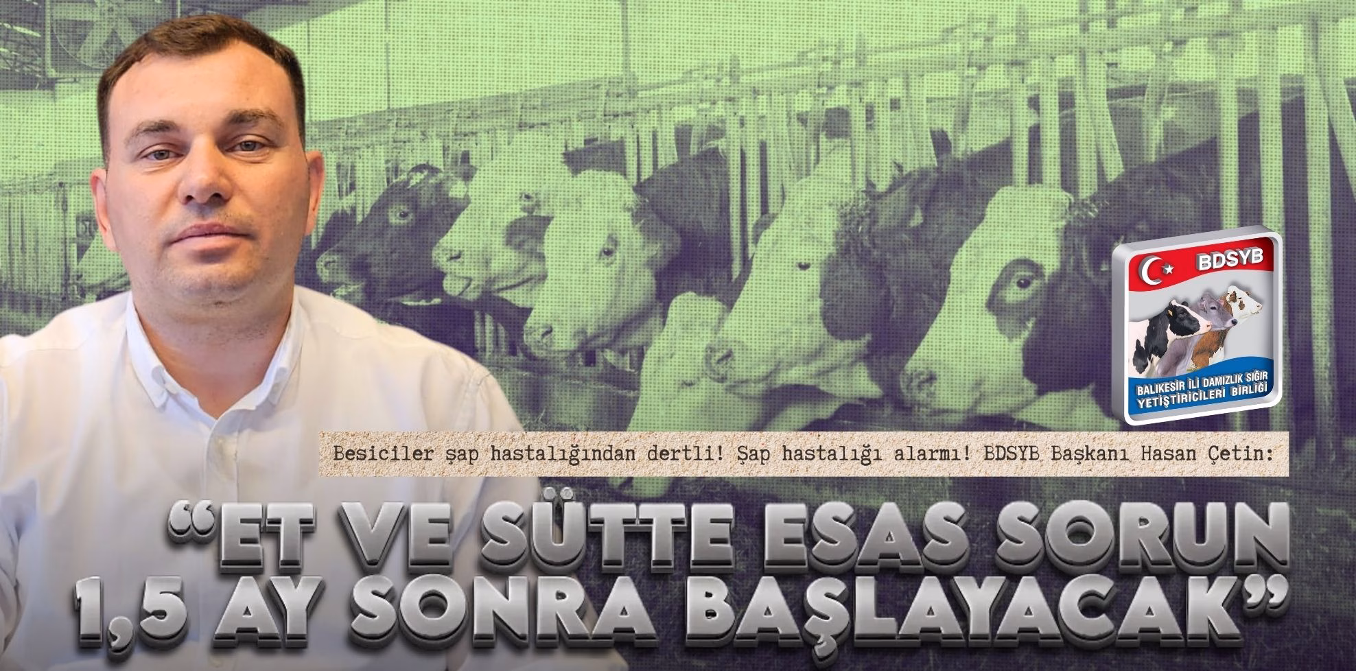 bdsyb (1)