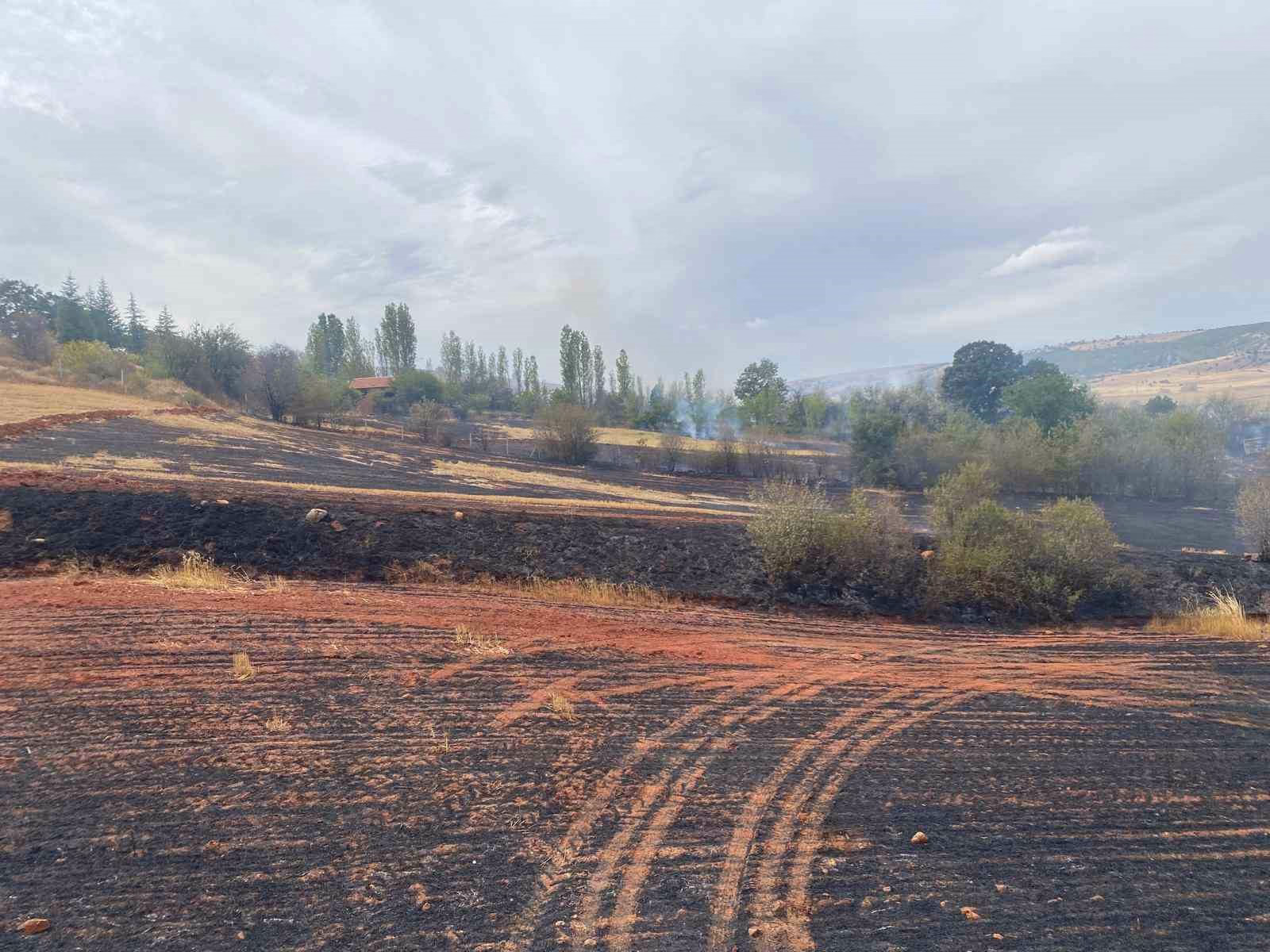 Çorum’da arazi yangını: 50 dönüm tarla ve 15 dönüm ağaçlık alan zarar gördü