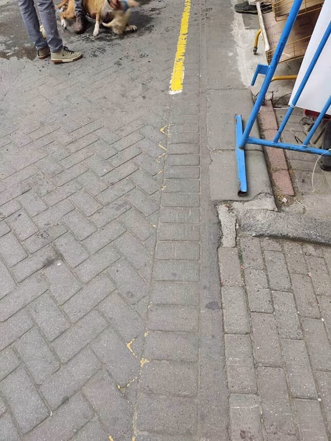 Gaziosmanpaşa’da ağızlıksız gezdirilen pitbull başka köpeğe saldırdı