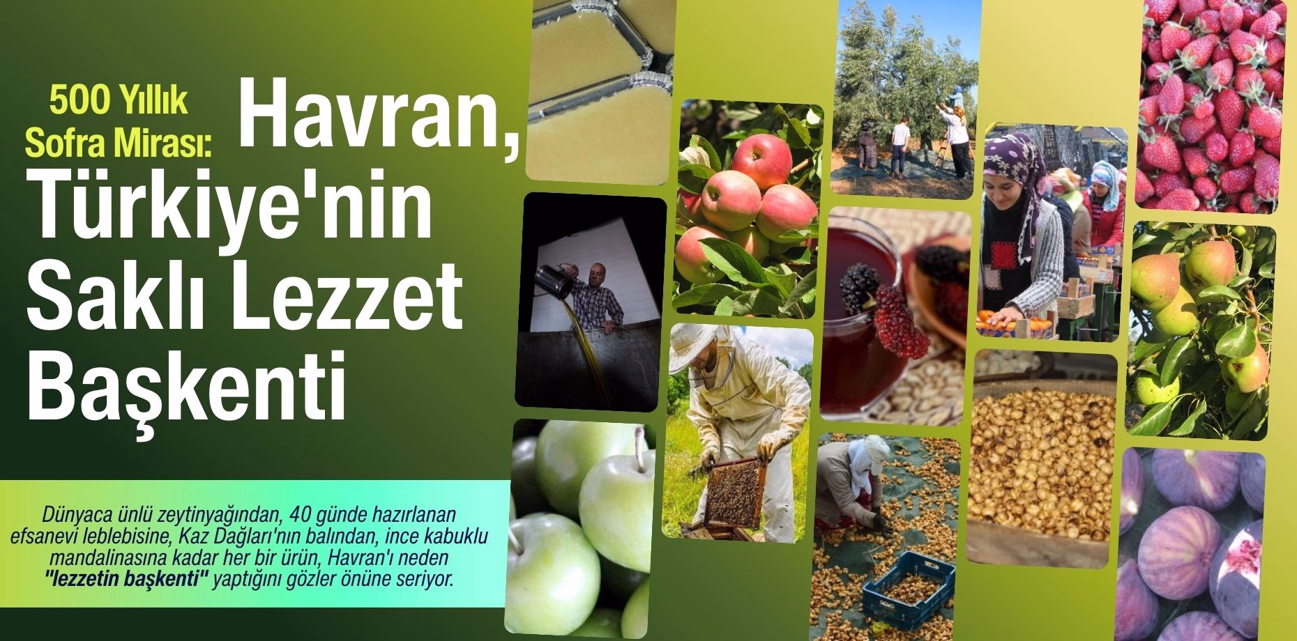 havran ürübler (1)