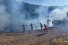 Tunceli’de kırsal alanda çıkan yangın söndürüldü: Soğutma çalışmaları sürüyor