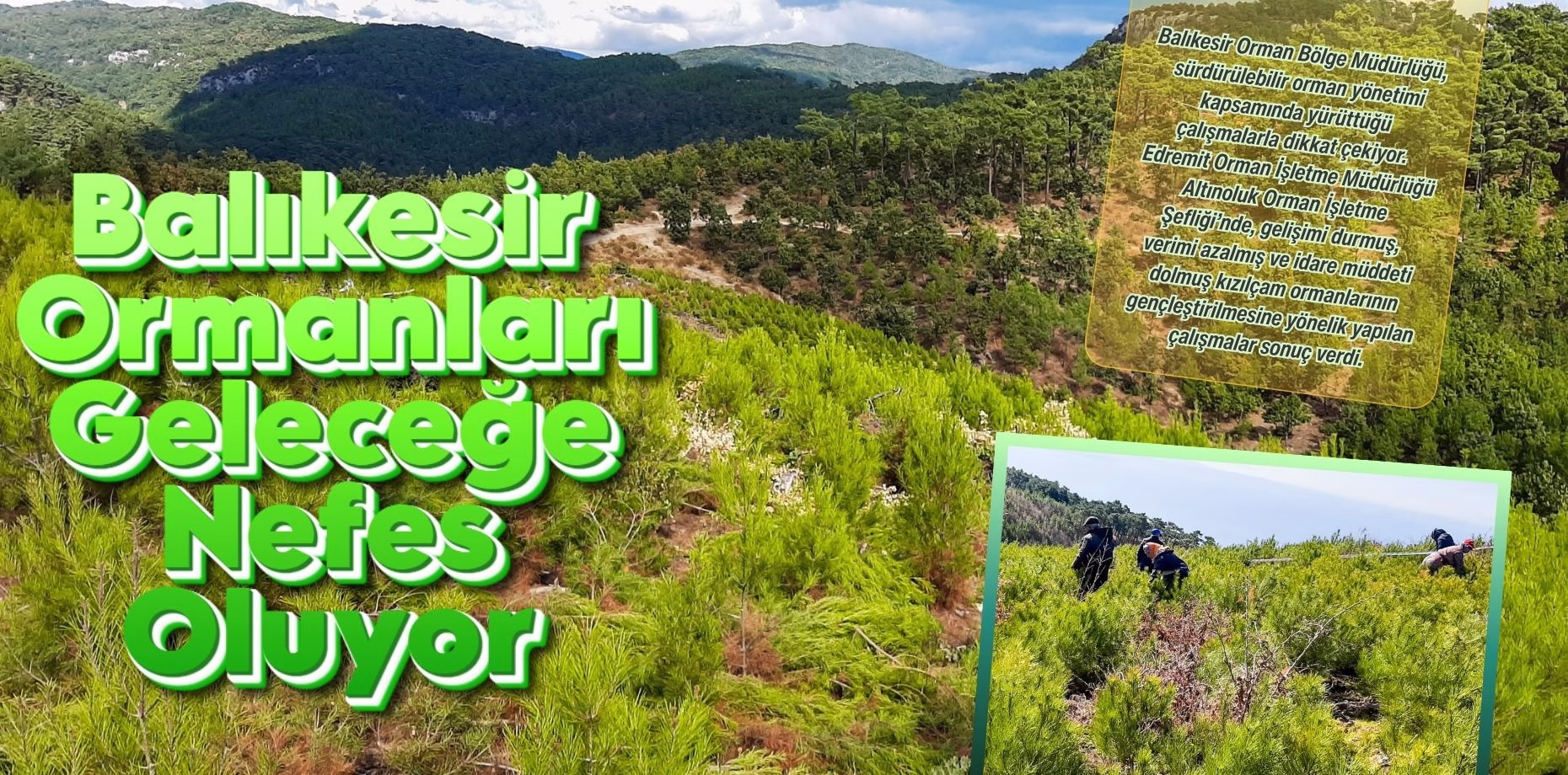 Balıkesir Ormanları Geleceğe Nefes Oluyor (1)