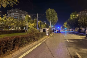 Ağacı devirip, yan yatan araçtan burunları bile kanamadan çıktılar