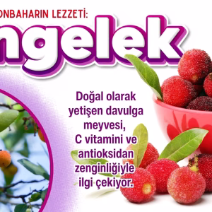 döngelek (2)