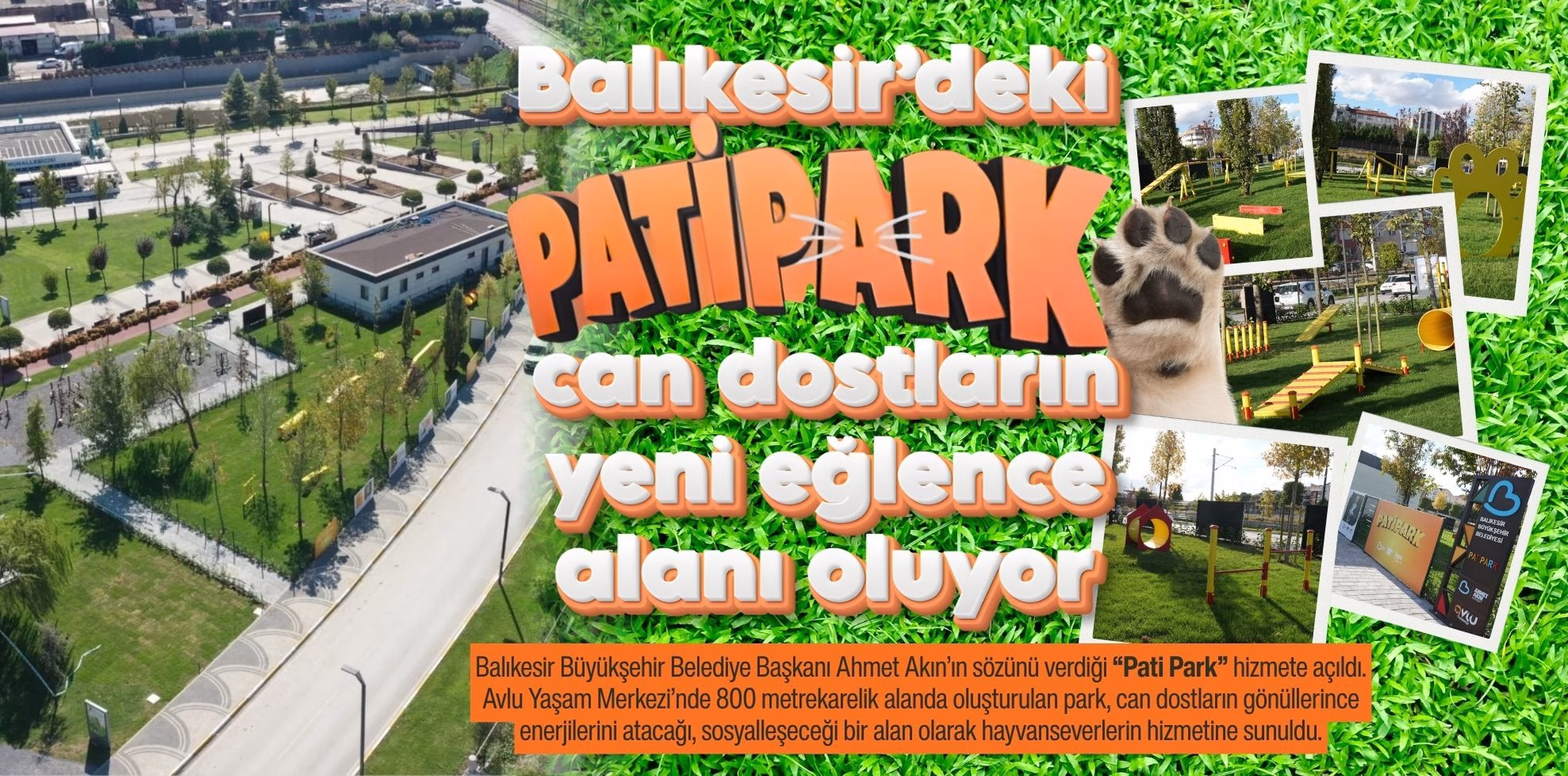 patipark (1)