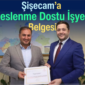 şişecam belge