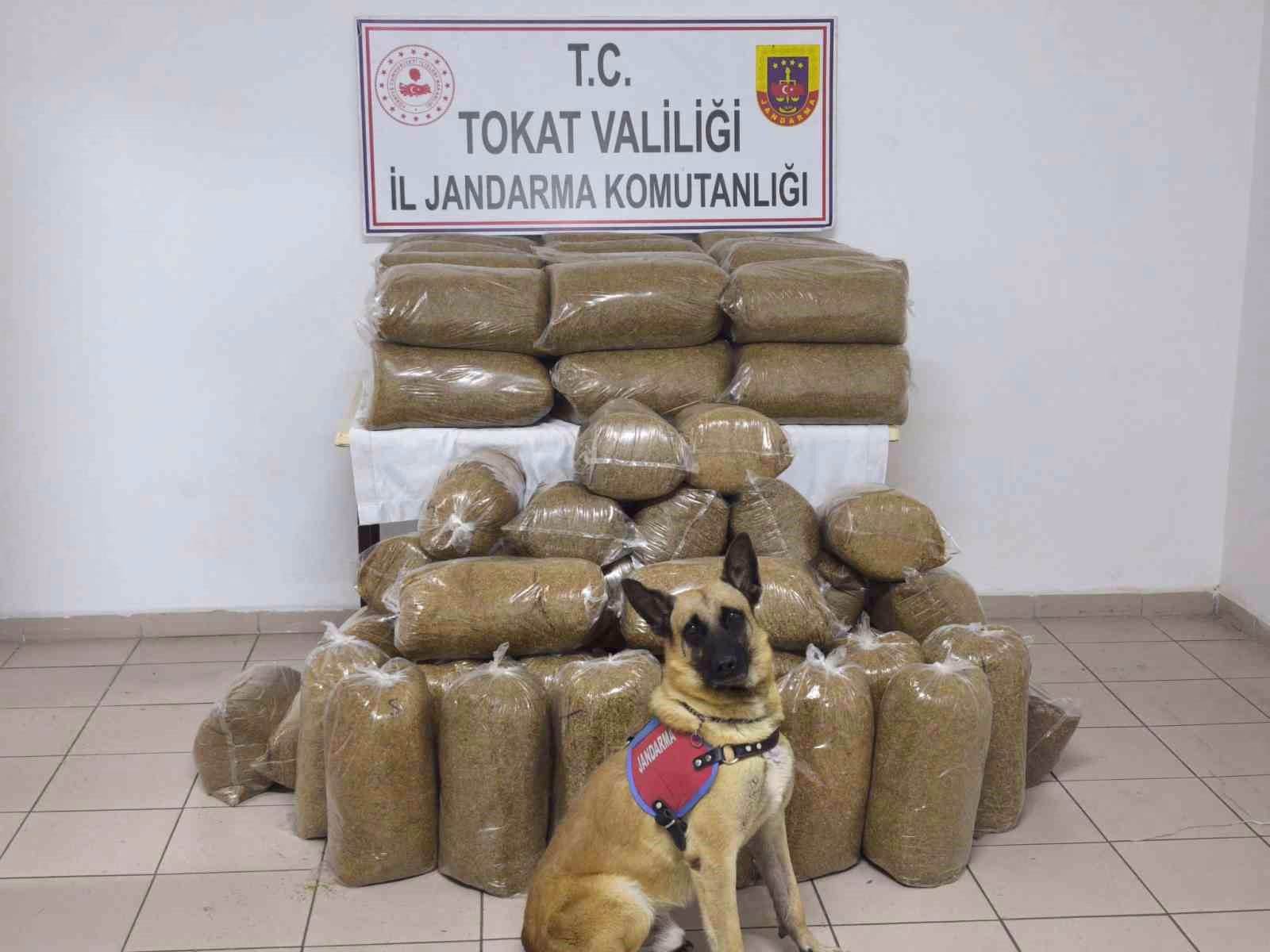 Tokat’ta 340 kilo kaçak tütün ele geçirildi