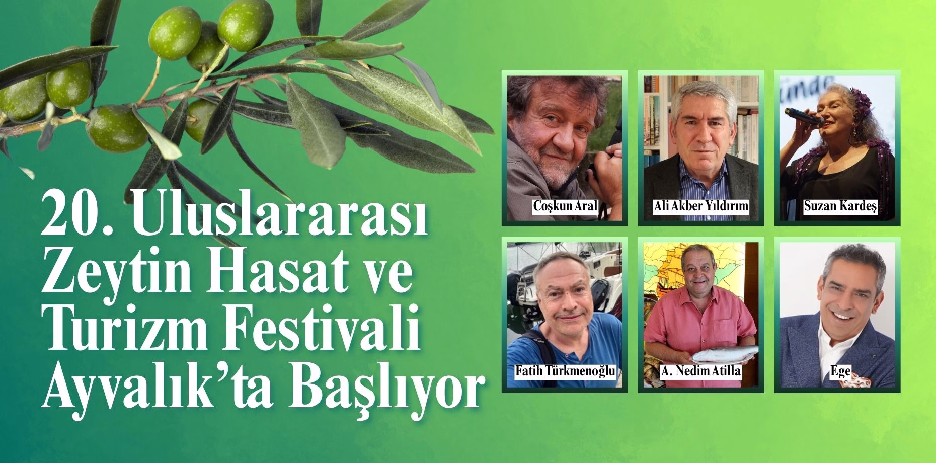 zeytin hasat fest (1)