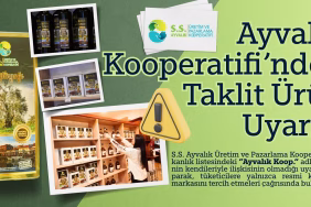 ayvalık zeytin yağı (1)