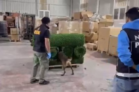 Binlerce uyuşturucu hapı yapay çimin içerisine sakladılar