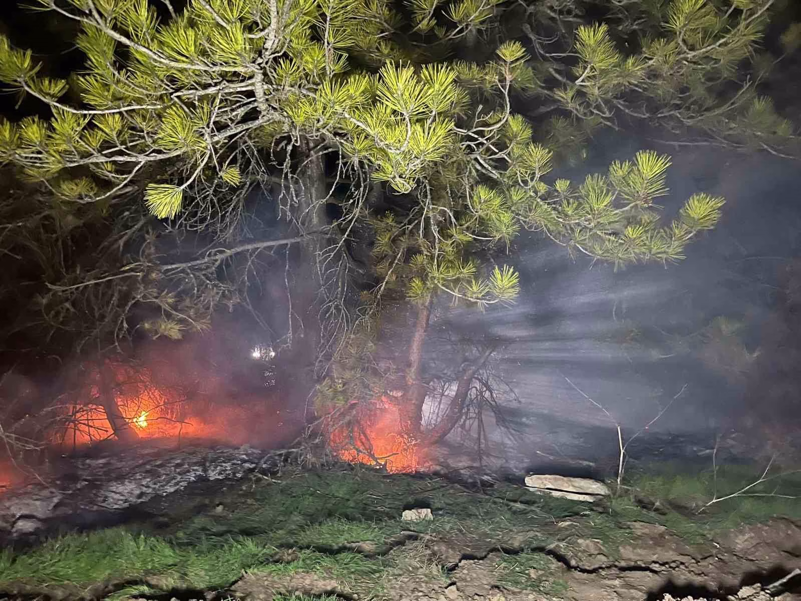 Bolu’da ormanlık alanda yangın çıktı