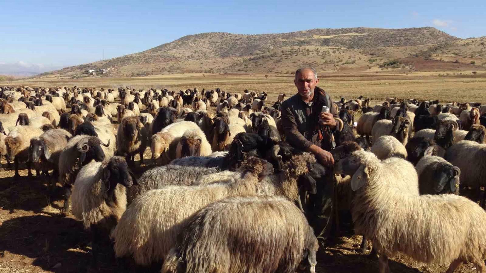Gercüş’te göçerlerin zorlu yolculuğu