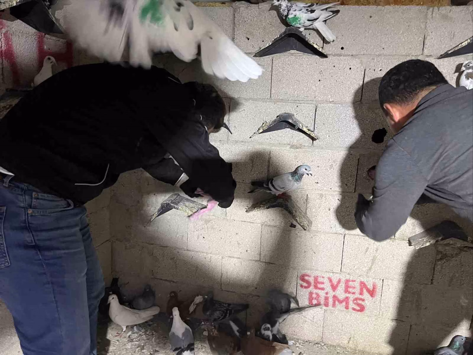 Hatay’da kuş kümesinden 2 kilo 500 gram uyuşturucu madde ve para çıktı