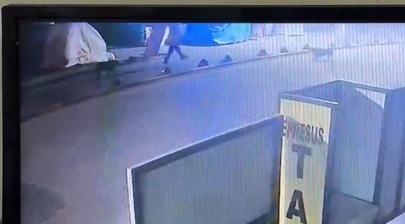 Kendisine saldıran sokak köpeğini vuran emekli astsubay serbest bırakıldı