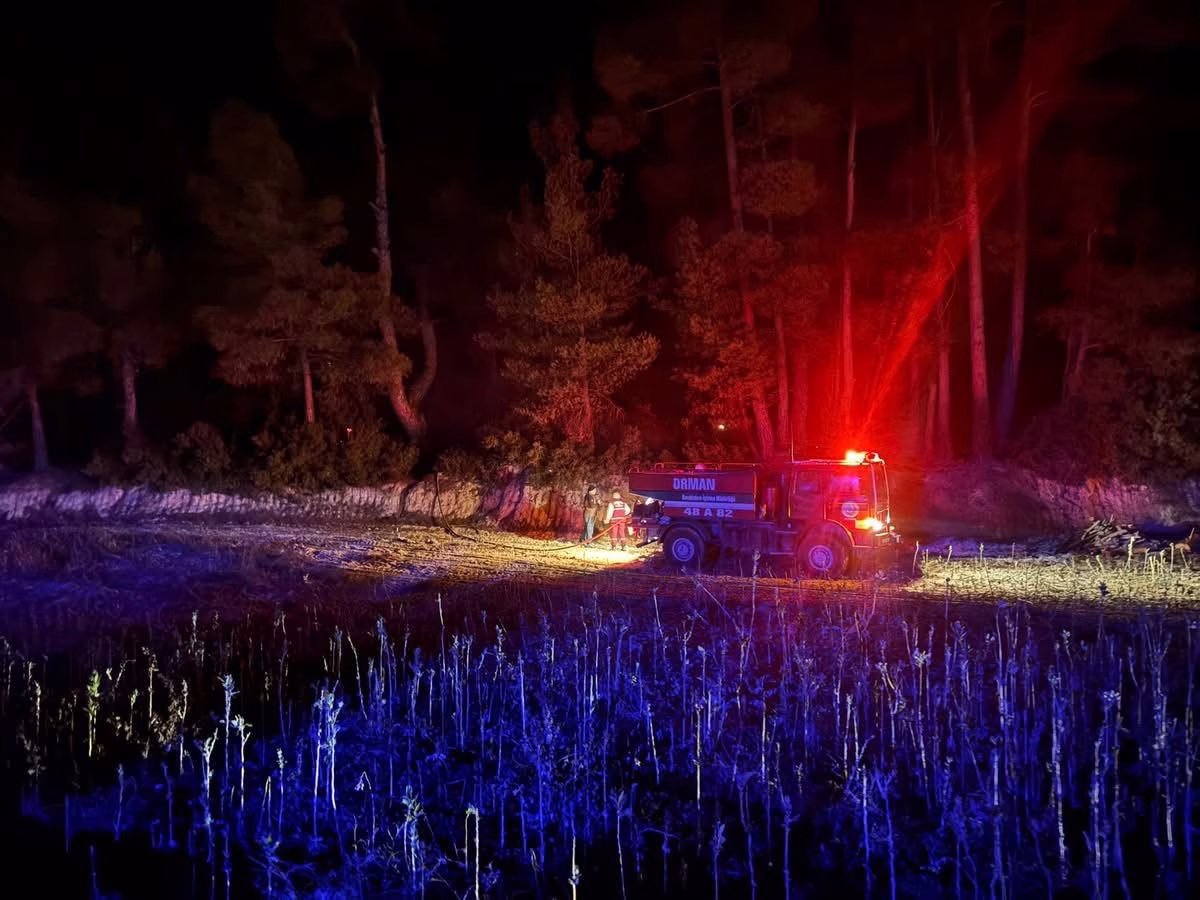 Muğla’da çıkan orman yangını kısa sürede kontrol altına alındı