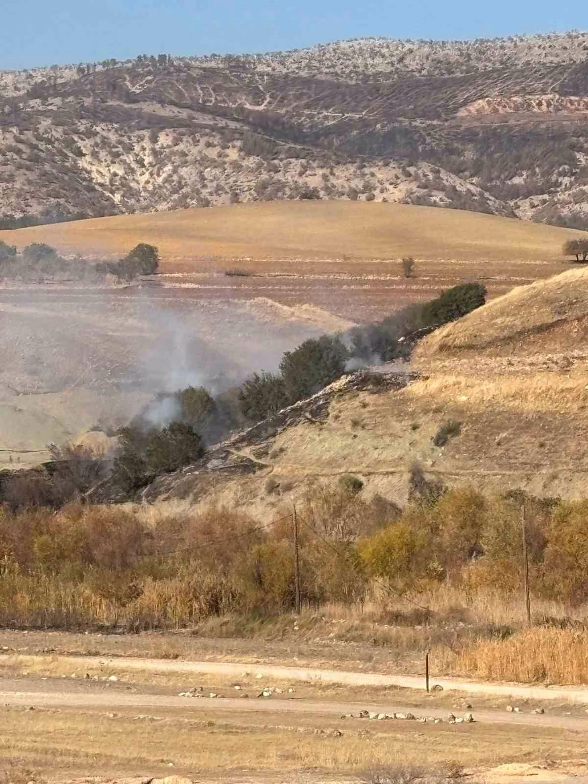 Ormanlık alanda korkutan yangın