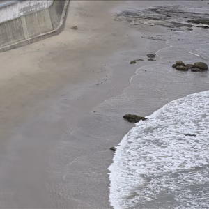 thumbs_b_c_13c3095ded9823da289ef2b9506ca017