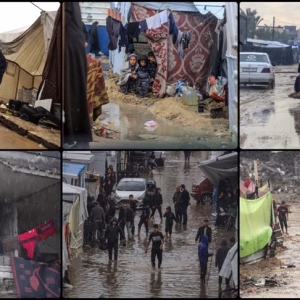 thumbs_b_c_659a6a8386eb9c85bb39434e88fe95df