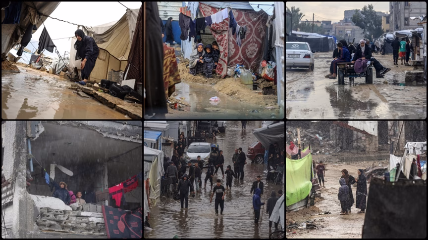 thumbs_b_c_659a6a8386eb9c85bb39434e88fe95df