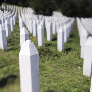 thumbs_b_c_798c3a598423727d6c2e1d012bd55181